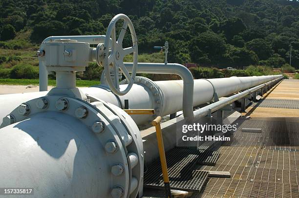 big white pipeline of oil in front of a forest  - oil pipeline stock pictures, royalty-free photos & images