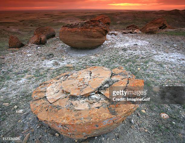 red rock coulee - alberta badlands stock pictures, royalty-free photos & images