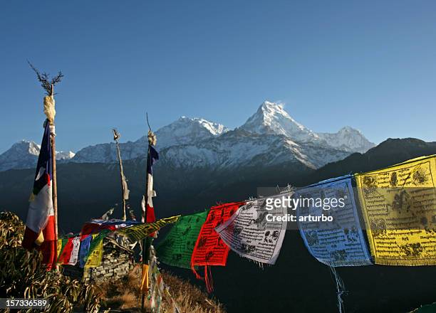 colorful tibetan prayer flags and the annapurna mountains - nepal mountains stock pictures, royalty-free photos & images
