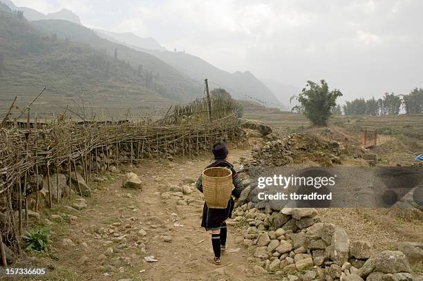 hmong woman walking in the hills near sapa, vietnam - hmong village stock pictures, royalty-free photos & images