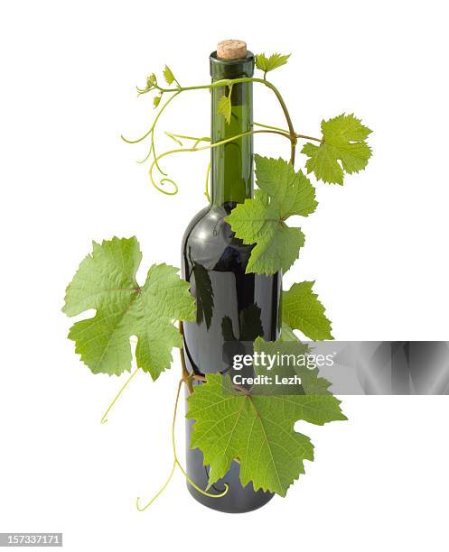 uva y botella de derivación - vinicultura fotografías e imágenes de stock