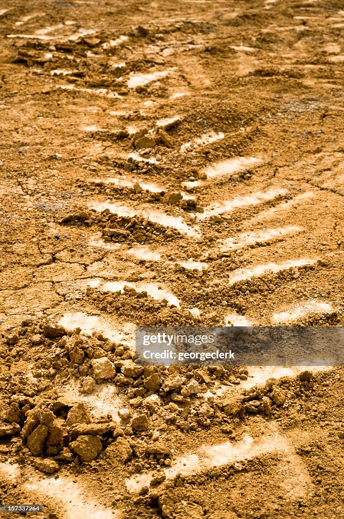 Machinery Tracks In Soil