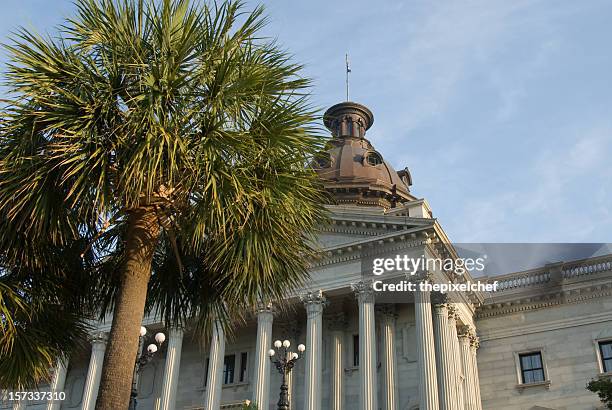 palmetto trees at the south carolina state house - columbia south carolina stockfoto's en -beelden