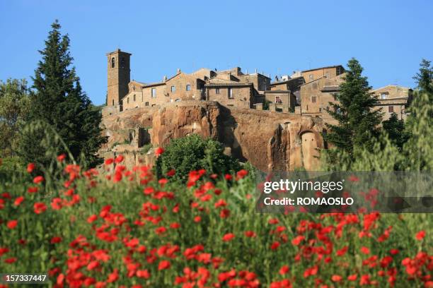 old houses and poppies in orvieto, umbria italy - orvieto stock pictures, royalty-free photos & images