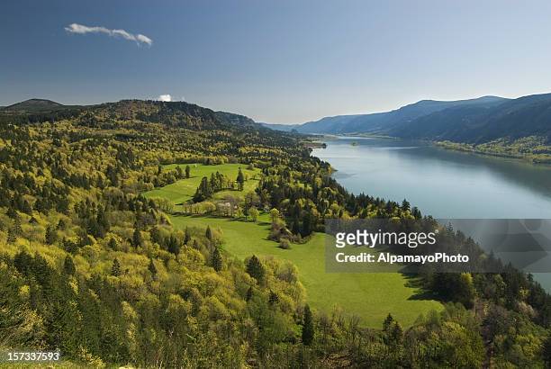 spring landscape - columbia river gorge oregon stock pictures, royalty-free photos & images
