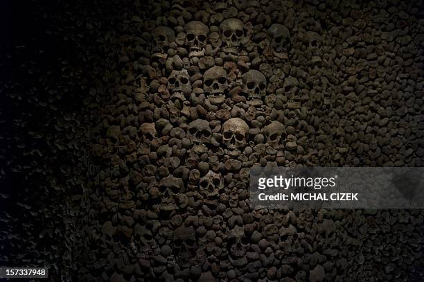 Bones and skulls are seen at an ossuary with the remains of more than 50,000 people on October 19, 2012 under the Church of St. James in Brno. Lost...