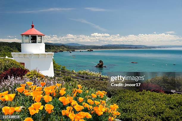 trinidad memorial lighthouse h - noordelijk californië stockfoto's en -beelden