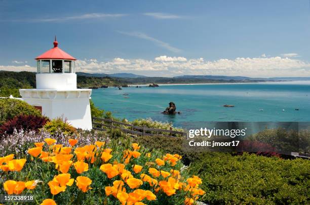 trinidad memorial lighthouse h - california poppy stock pictures, royalty-free photos & images