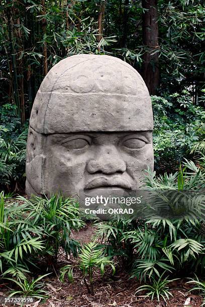 carved stone head - museo nacional de antropologia stock pictures, royalty-free photos & images