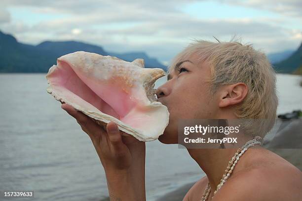 blowing conch - conch shell 個照片及圖片檔