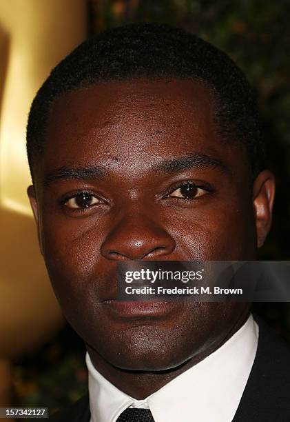 Actor David Oyelowo attends the Academy Of Motion Picture Arts And Sciences' 4th Annual Governors Awards at Hollywood and Highland on December 1,...