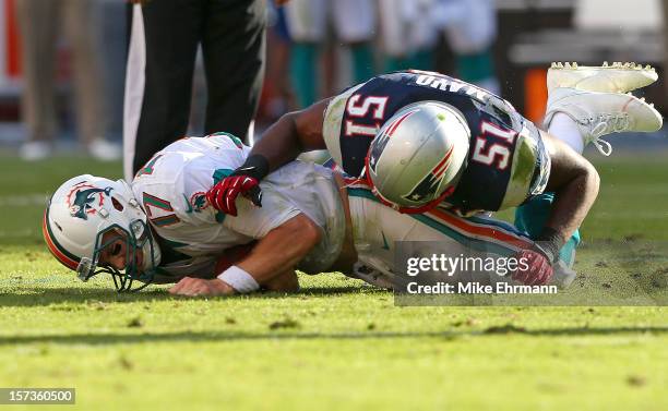 Ryan Tannehill of the Miami Dolphins is sacked by Jerod Mayo of the New England Patriots during a game at Sun Life Stadium on December 2, 2012 in...