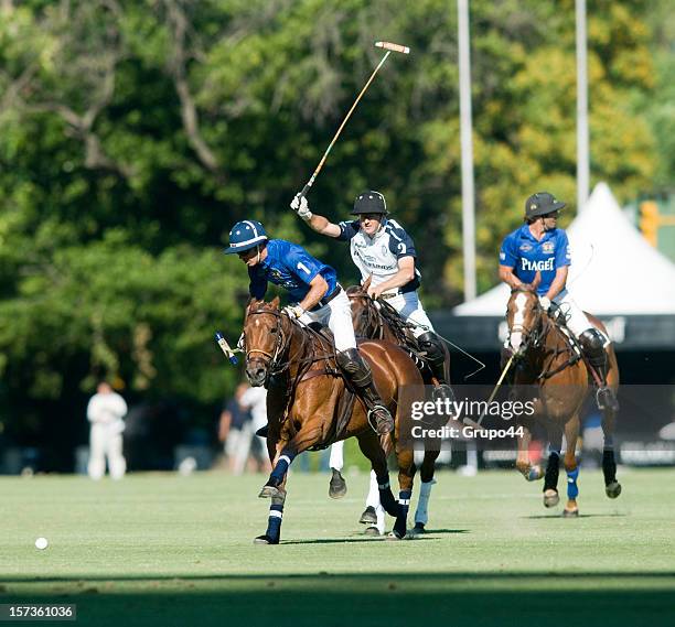 Bensadon of Pilara in action during a polo match between La Dolfina and Pilara as part of the 119th Argentina Open Polo Championship on December 01,...