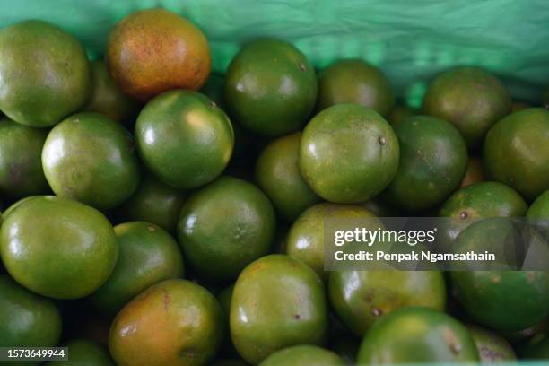 green orange​ fruit​ in green​ plastic​ basket​ - oranges in basket at food market stock pictures, royalty-free photos & images
