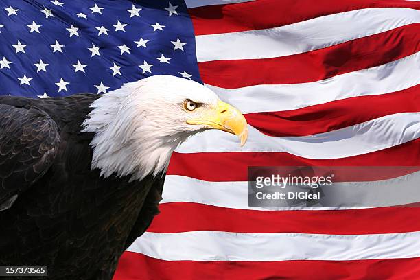 9,263 Red Eagle Photos and Premium High Res Pictures - Getty Images