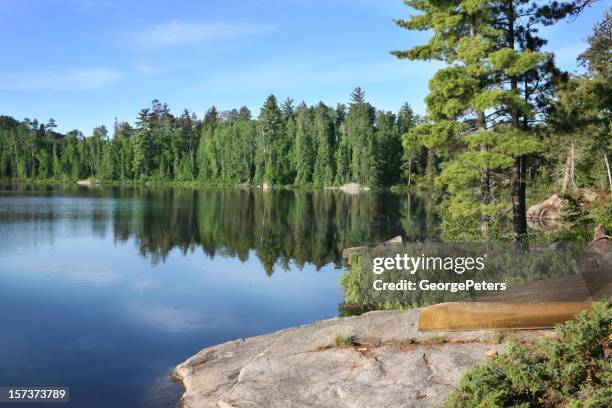 bonito verão manhã em uma selva lago - boundary waters imagens e fotografias de stock