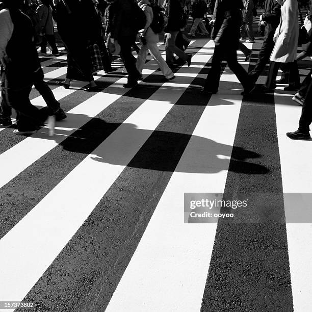 zebra crossing - zebra crossing stock pictures, royalty-free photos & images
