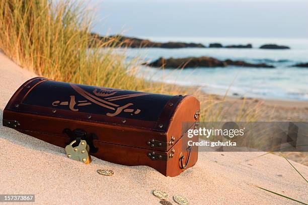 treasure chest - goud strand stockfoto's en -beelden