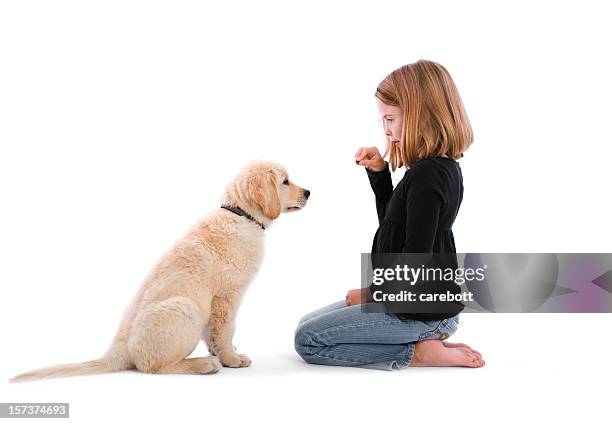 isolated image of girl sitting on floor with treat and puppy - dog training stock pictures, royalty-free photos & images