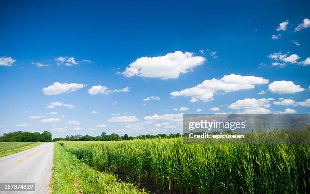 green fields - kentucky farm stock pictures, royalty-free photos & images