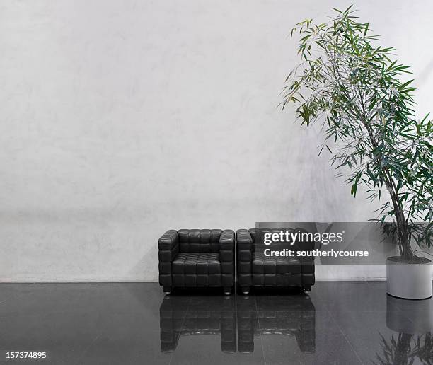 wating area with two black chairs and a plant - chaise lounge bildbanksfoton och bilder