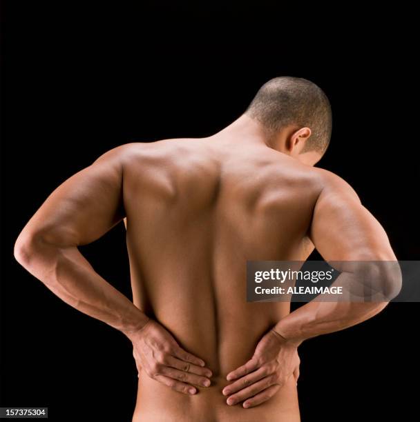 Revised Back 474 Anatomy Of Lower Back Stock Photos, High-Res Pictures, and Images ...