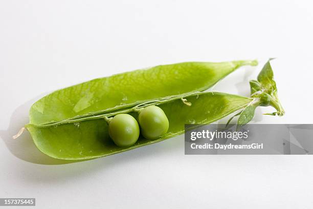 two-peas-in-a-pod-isolated-on-