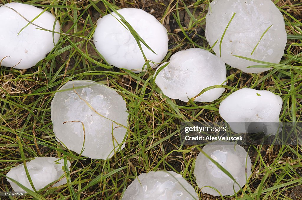 Big Hailstones
