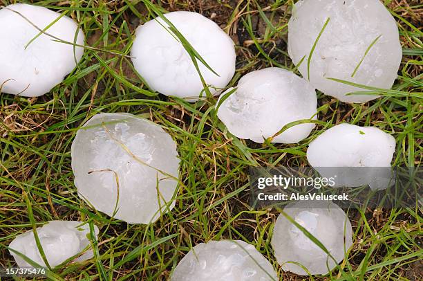big hailstones - hail stock pictures, royalty-free photos & images