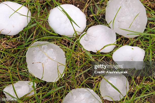 grandes pedras de granizo - hail imagens e fotografias de stock