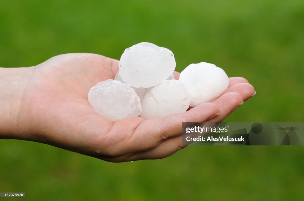 A white hand holding large hailstones on its palm