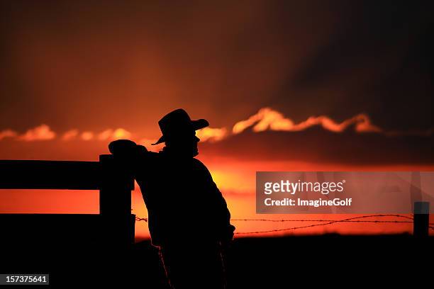 cowboy-silhouette - alberta farm scene stock-fotos und bilder
