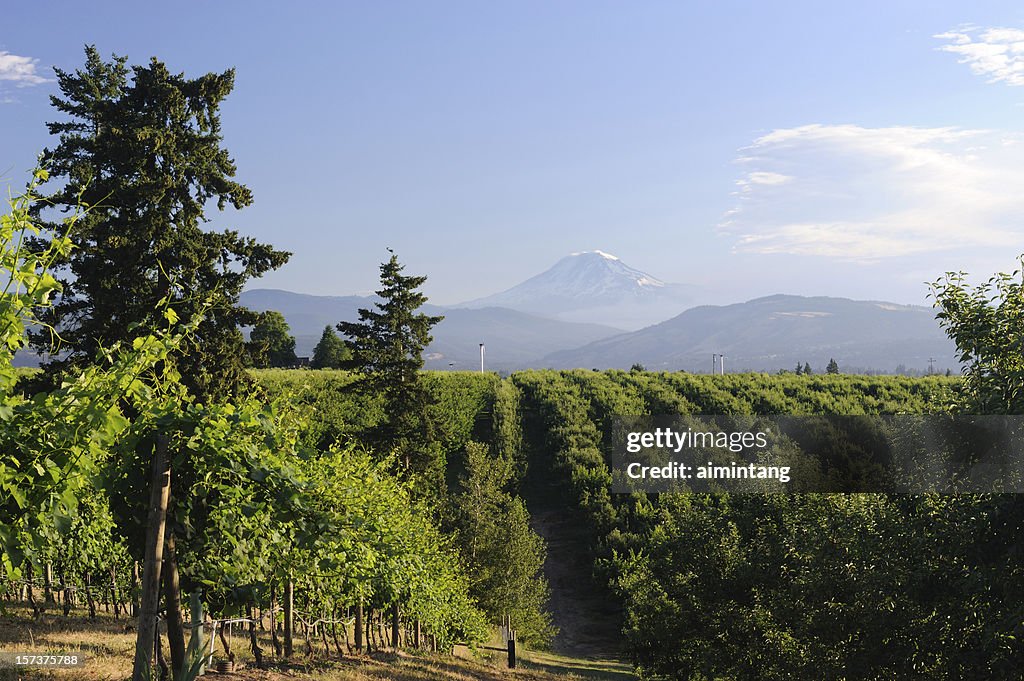 Landschaft mit Fluss Hood River