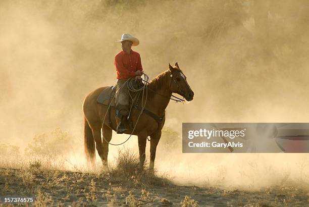 horse and rider - vaqueros stock pictures, royalty-free photos & images