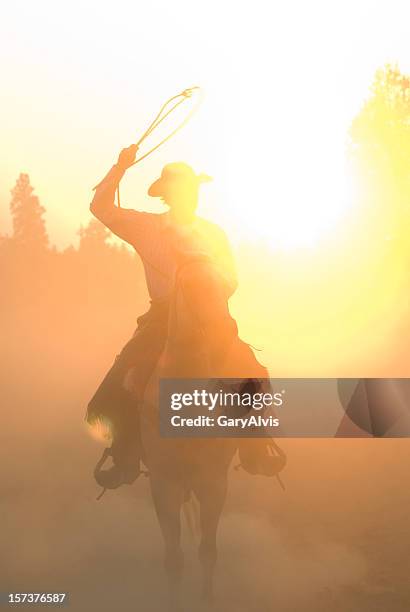 horse and rider - gaucho stock pictures, royalty-free photos & images