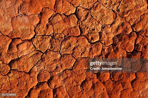 fond de terre - outback australia photos et images de collection