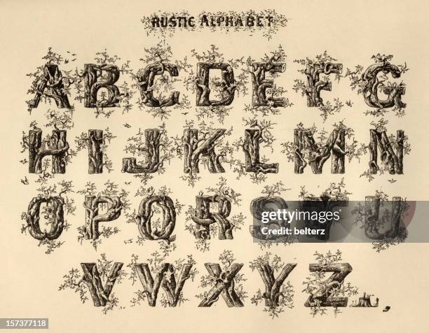 rustic alphabet - nature alphabet letters bildbanksfoton och bilder