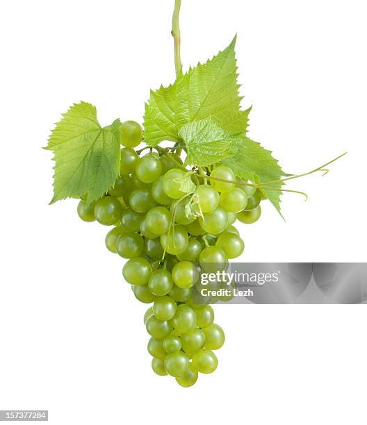 cluster de uva - cachorro-quente imagens e fotografias de stock