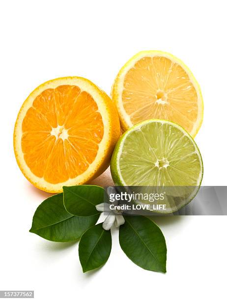 citrus fruit - citrus blossom stock pictures, royalty-free photos & images