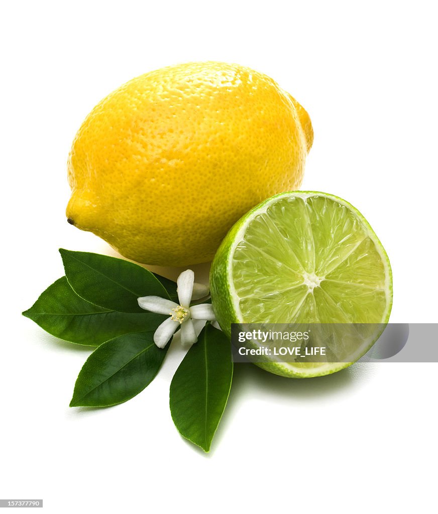 Lemon, lime and green leaves against white background