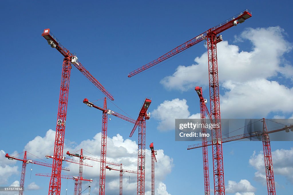 Forest from construction cranes, Hamburg  (Speicherstadt)