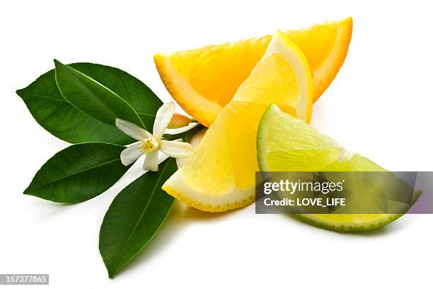 three slices of lemons and lime - citrus blossom stock pictures, royalty-free photos & images