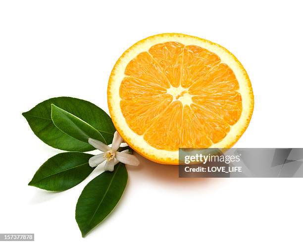 orange half - citrus blossom stock pictures, royalty-free photos & images