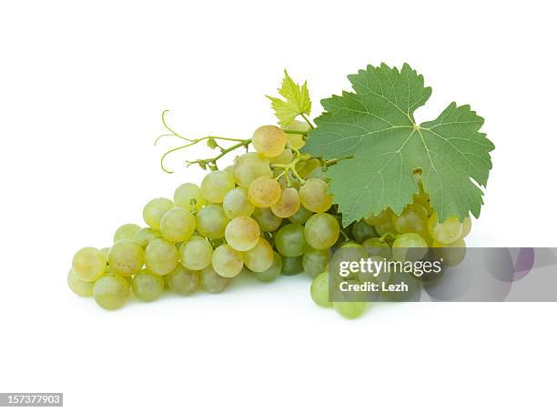 grape cluster - witte druif stockfoto's en -beelden