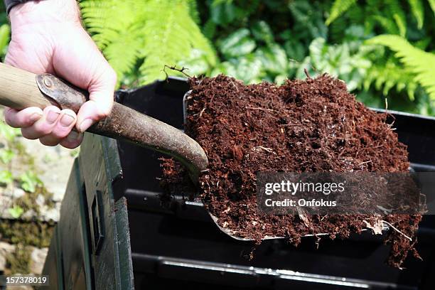 hand holding shovel full of compost, home composting - fertilizer stock pictures, royalty-free photos & images