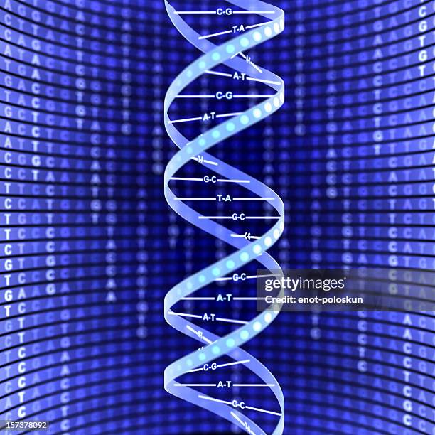 dna - dna spiral stock pictures, royalty-free photos & images
