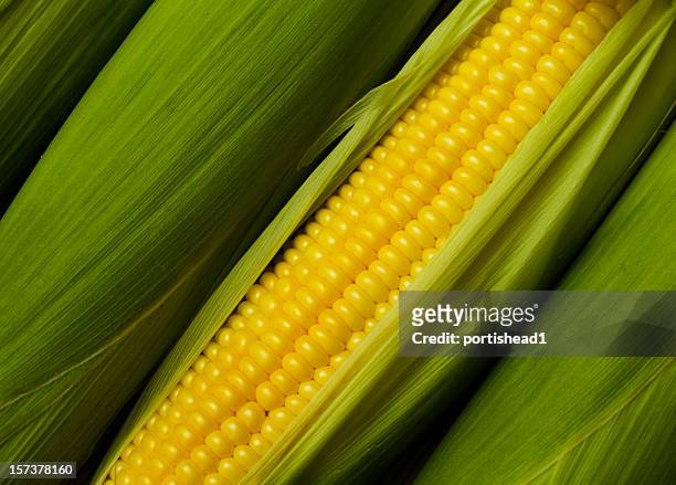 corn - sweetcorn stock pictures, royalty-free photos & images