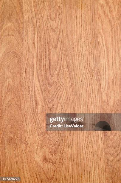 light brown wooden piece as the background  - beech tree stock pictures, royalty-free photos & images