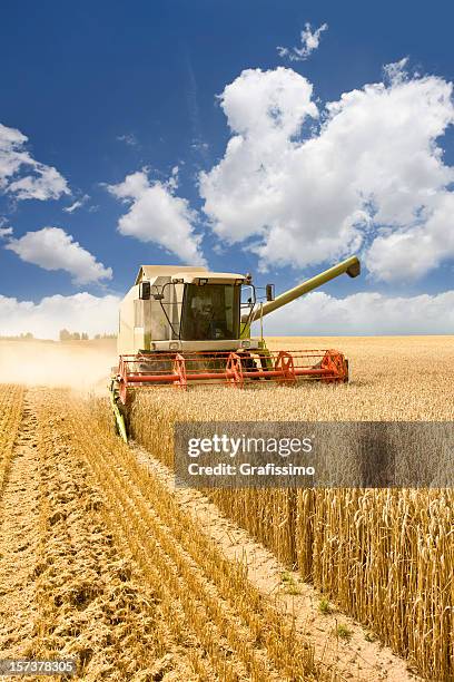 combine working on a wheat field - combine harvester stockfoto's en -beelden