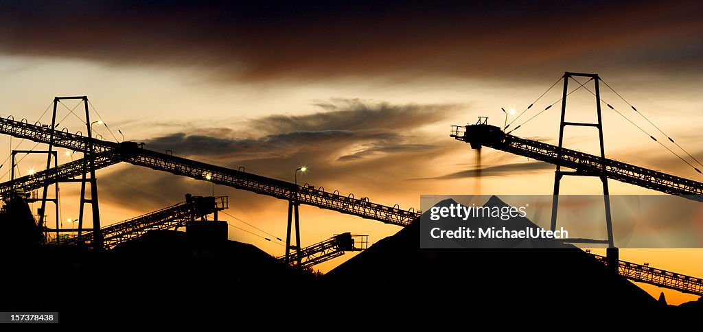 Gravel Plant Landscape